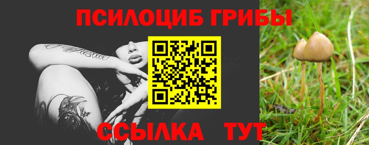 Галлюциногенные грибы MAGIC MUSHROOMS  как найти закладки  Лосино-Петровский  Вход с VPN  Галлюциногенные грибы Psilocybe 